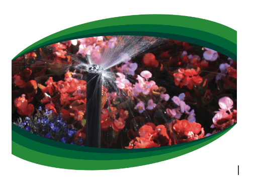 image shows sprinkler head watering flowers with reclaimed wastewater